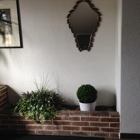 Affittacamere Alla Fontana