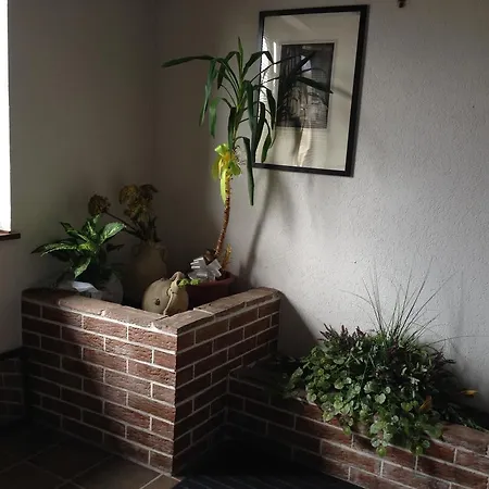 Gæstehus Affittacamere Alla Fontana *